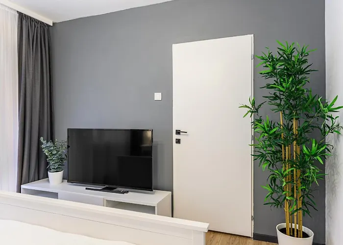 Travelers Hideout - Apartment Brasov